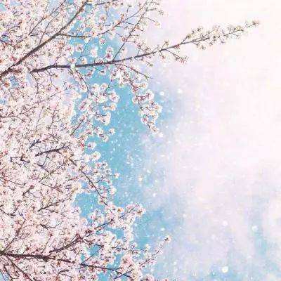 微型桌面遥控赛车